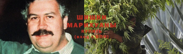 амф Абаза