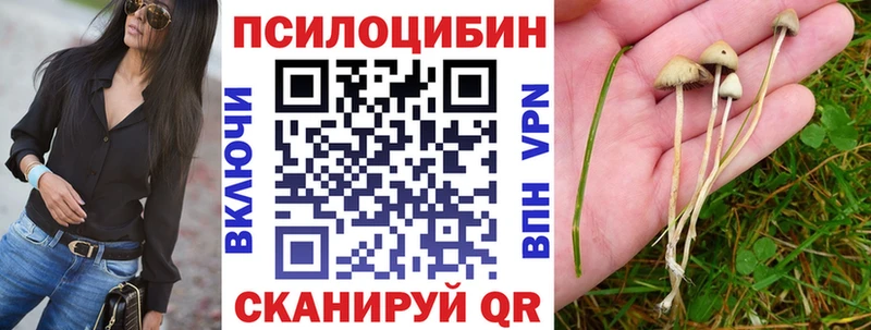 Галлюциногенные грибы Cubensis  Алдан 